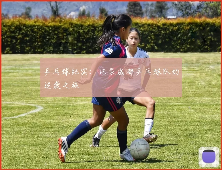 乒乓球纪实：记录成都乒乓球队的逆袭之旅
